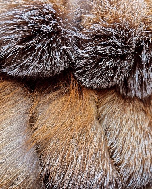 Луксозен дамски кожух - 1